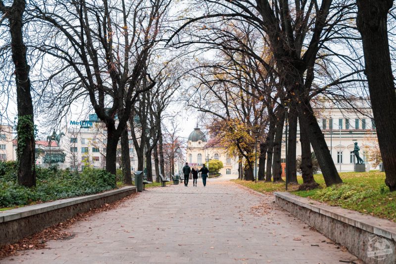 Sofia