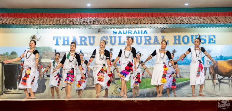 Culture Tharus et danse traditionnelle