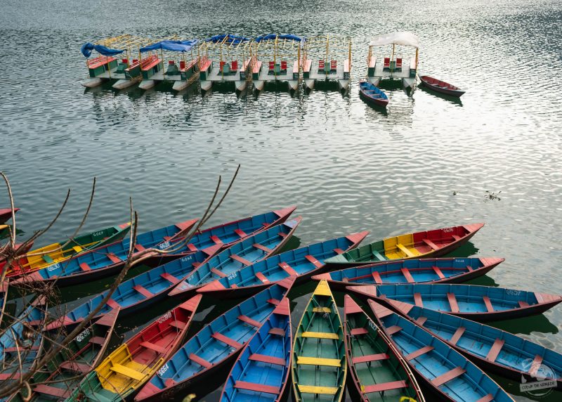 Pokhara en 5 jours