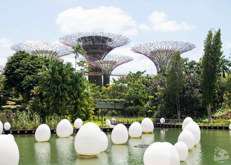 Garden by the bay, Singapour