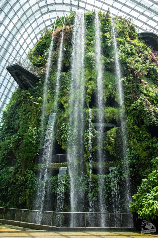 Garden by the bay, Singapour