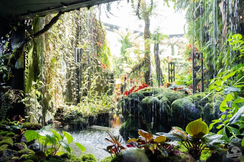 Garden by the bay, Singapour