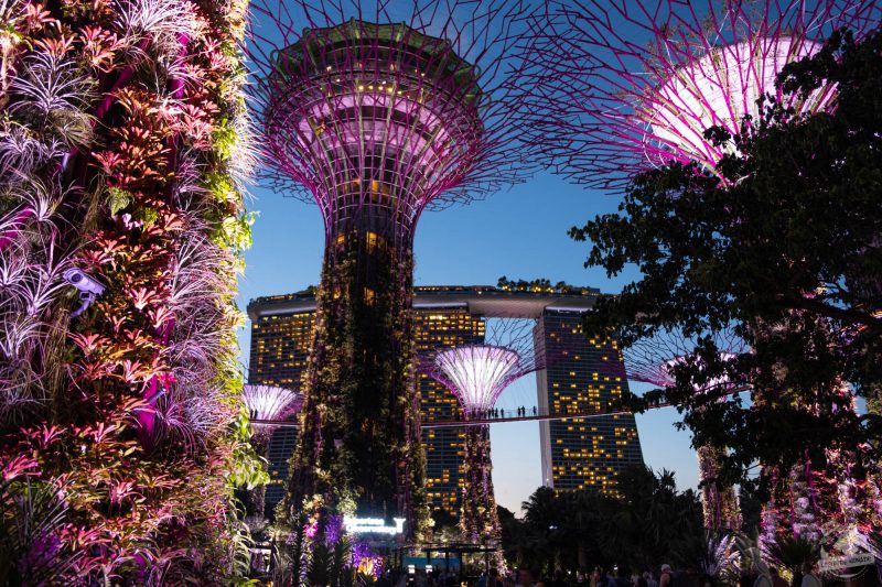 Garden by the bay, Singapour