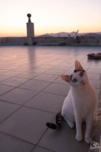 Workaway en Grèce
