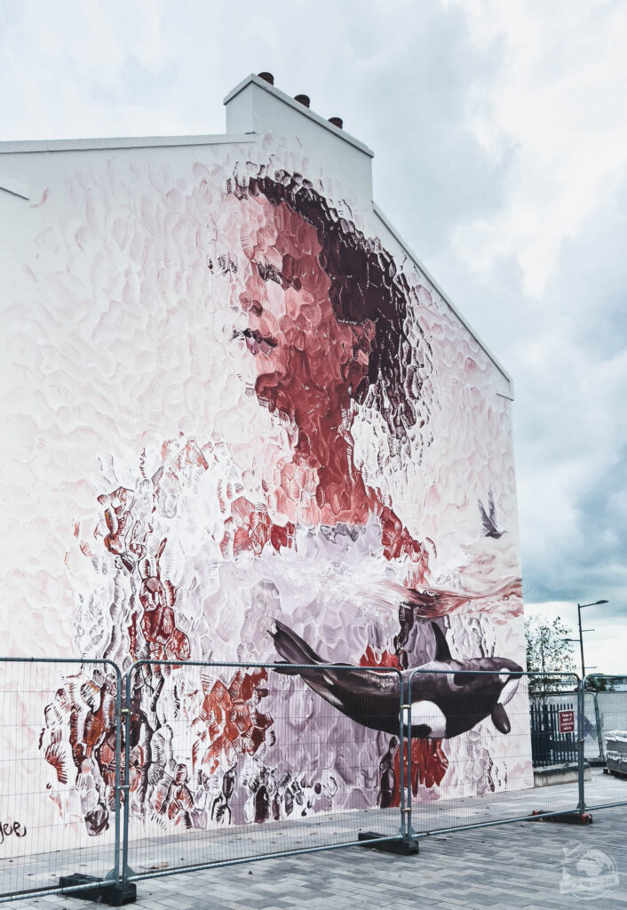 Muraliste : Fintan Magee