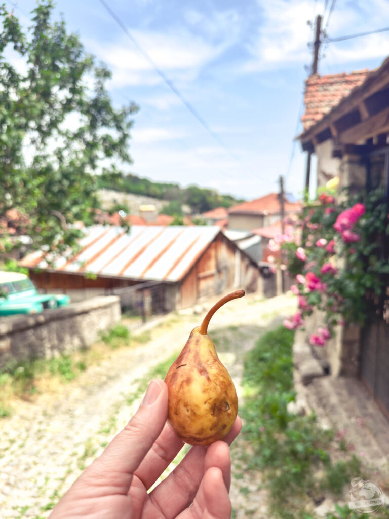 L'emblème du village de Kruševo